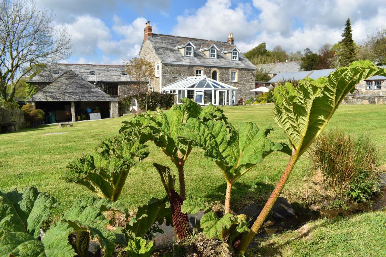 Treveighan Farmhouse Saint Teath Екстериор снимка